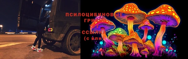 спиды Лагань