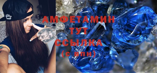 прущие грибы Ладушкин