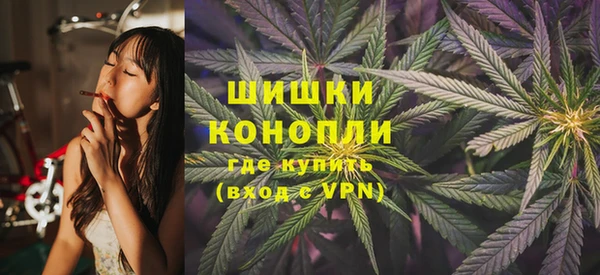 прущие грибы Ладушкин