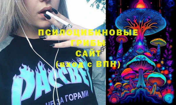 прущие грибы Ладушкин
