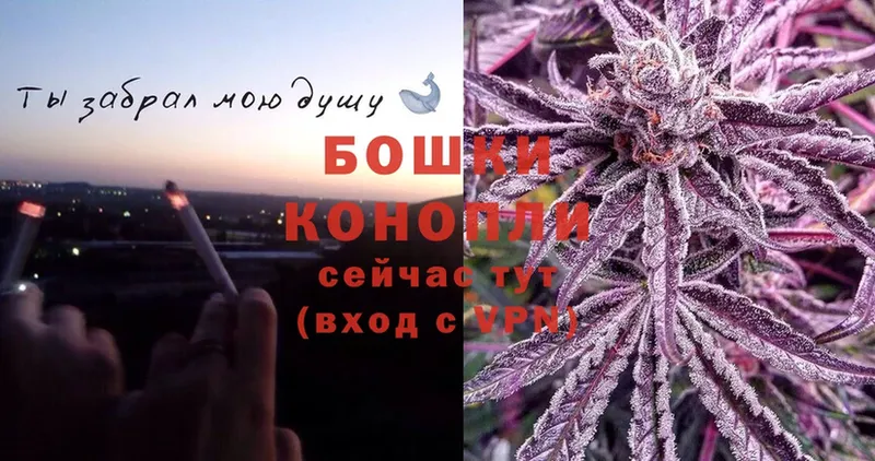 Марихуана OG Kush  Орёл 